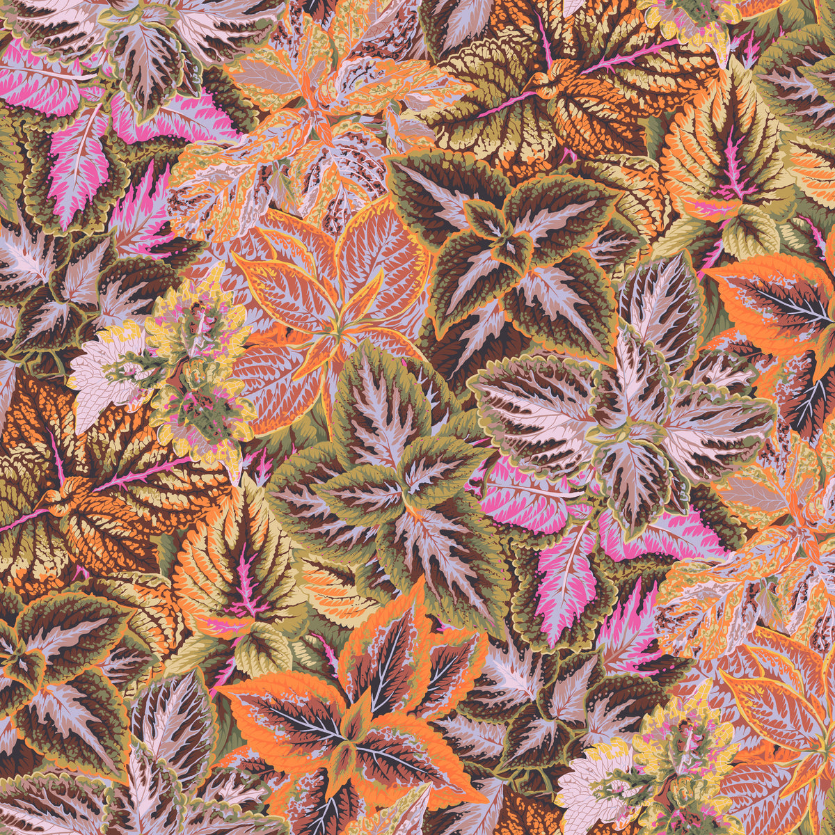 FREE SPIRIT - August 2025 by Kaffe Fassett Collective - Bold