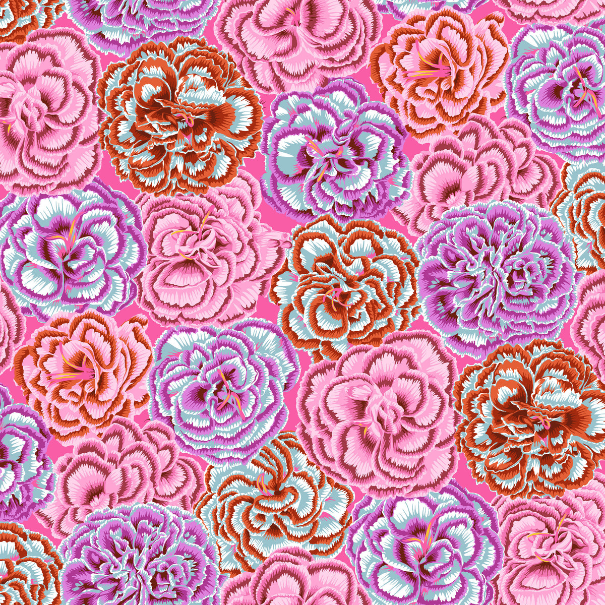 August 2025 - Picotee Carnations - Pink - Kaffe Fassett main image 0