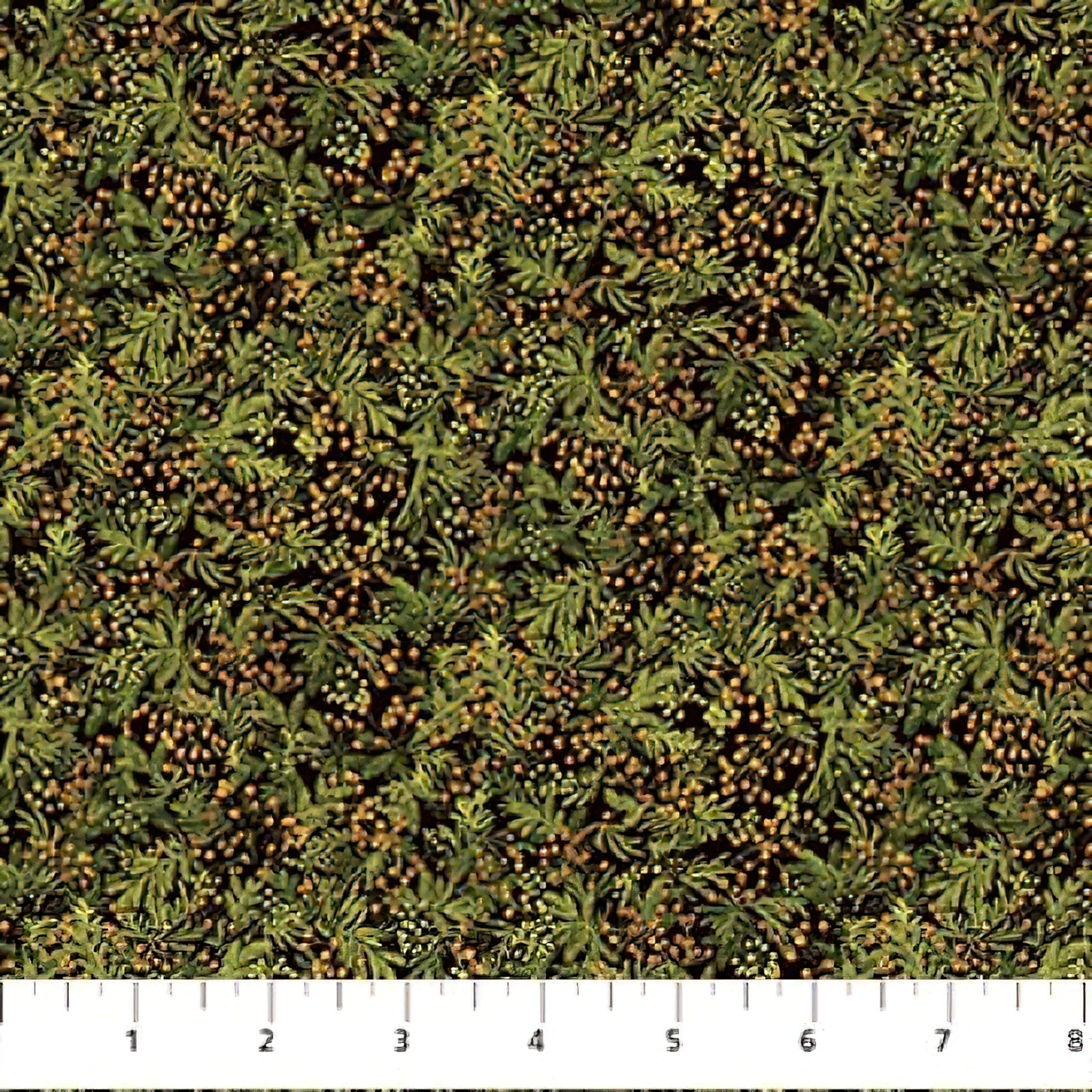 NORTHCOTT - Naturescapes by Deborah Edwards - Cedar - Olive