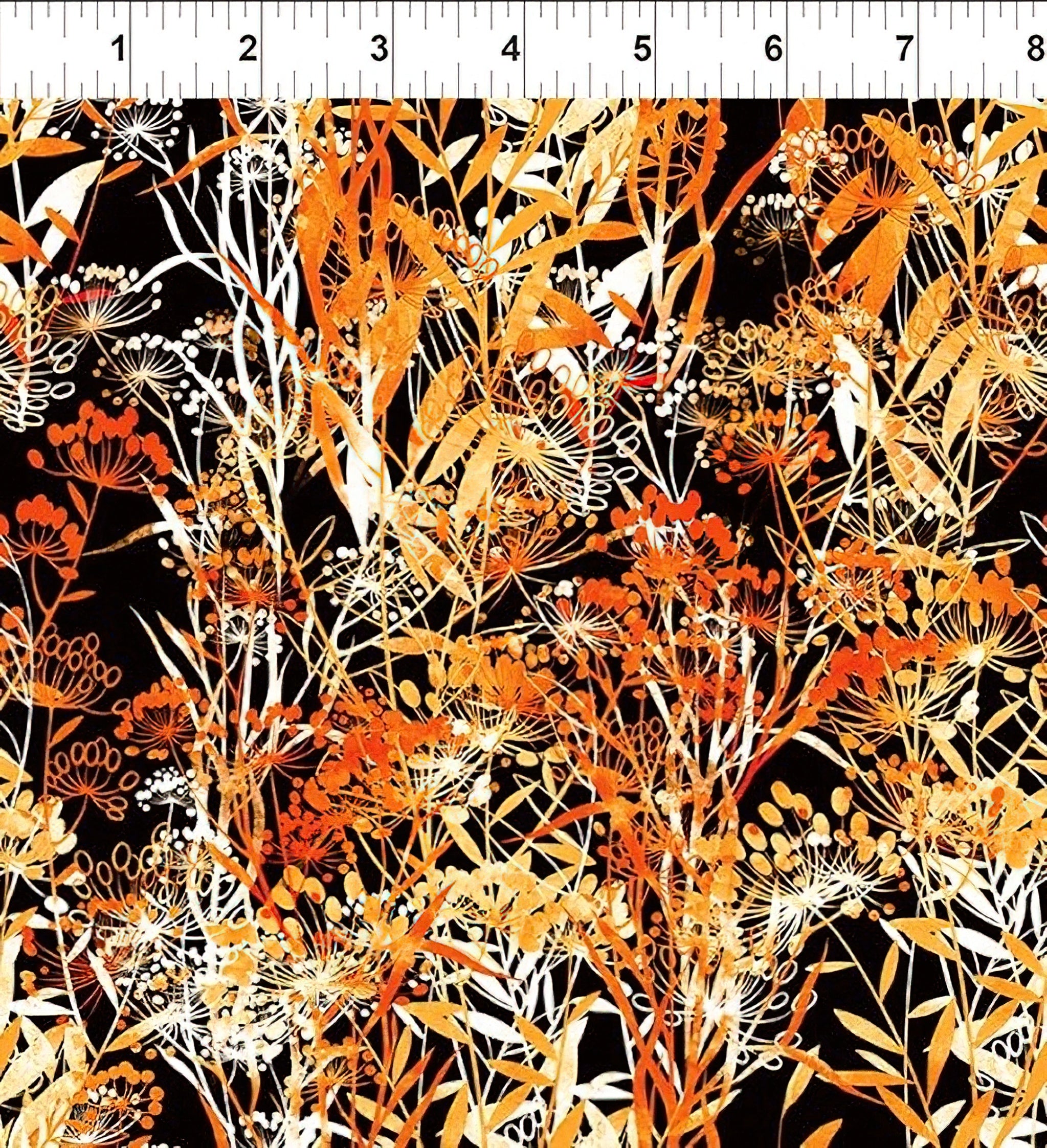 IN THE BEGINNING - Reflections of Autumn - Jason Yenter