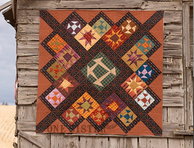 Half Crazy by Janet Nesbitt - One S1ster – Quilt in a Day