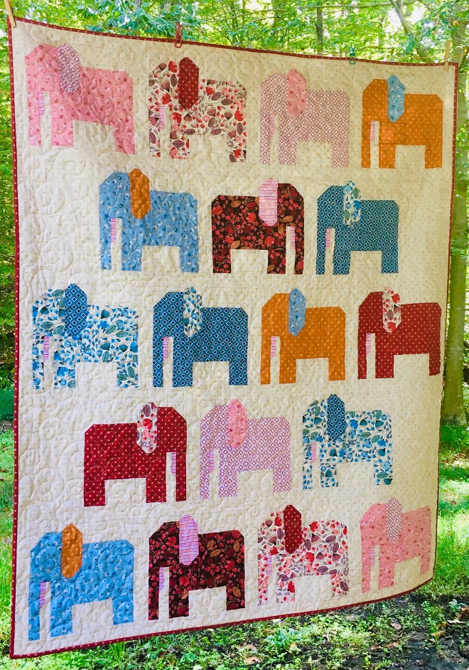 Common Ground Quilt Stomping Ground Quilt Pattern by Wendy Sheppard – Quilt in a Day