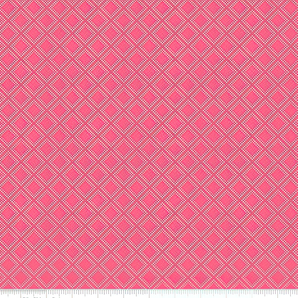 Skinny - SK11630 - 3/4 yds - RILEY BLAKE - Adel in Summer - Summer Gri ...